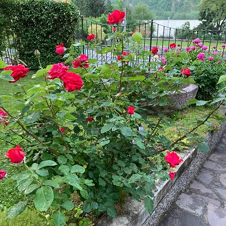 Bed & Breakfast Casa Marinella Lenna